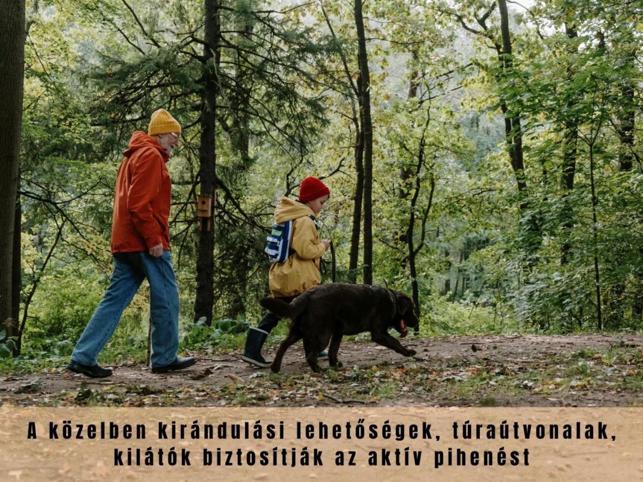 Willa Estina House Balatonboglár Zewnętrze zdjęcie